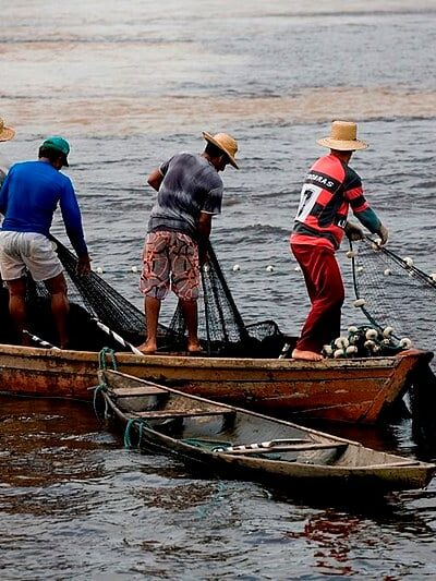 Pesca e Mariscos